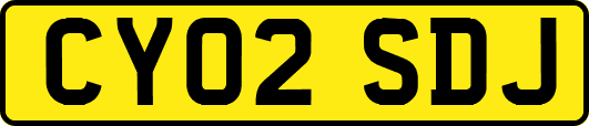 CY02SDJ