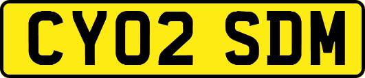 CY02SDM