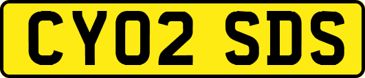CY02SDS