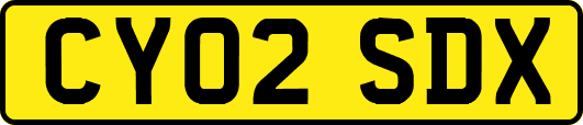 CY02SDX