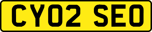 CY02SEO