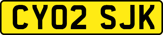 CY02SJK