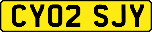 CY02SJY