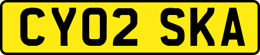CY02SKA