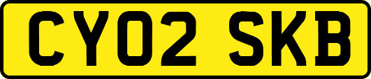 CY02SKB