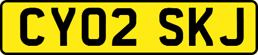 CY02SKJ