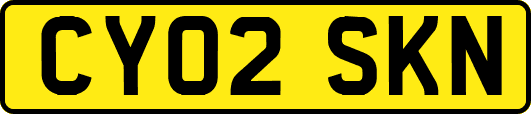 CY02SKN
