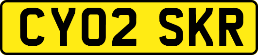 CY02SKR