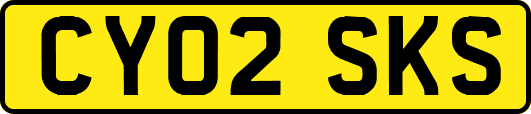 CY02SKS