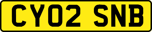 CY02SNB