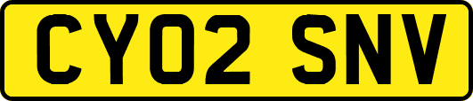CY02SNV