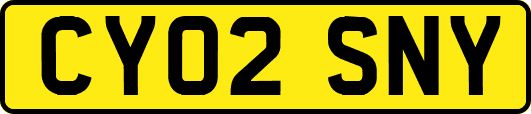CY02SNY