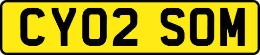 CY02SOM