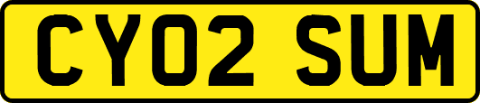 CY02SUM