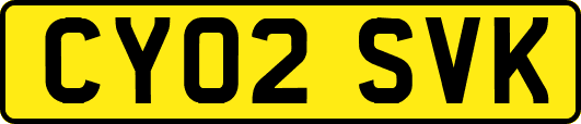CY02SVK