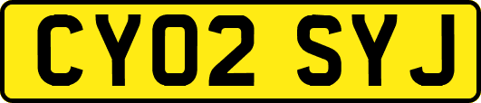 CY02SYJ