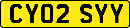CY02SYY