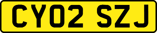CY02SZJ