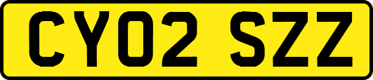 CY02SZZ