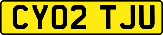CY02TJU