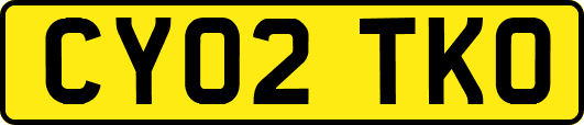 CY02TKO