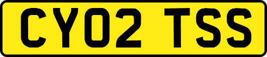 CY02TSS