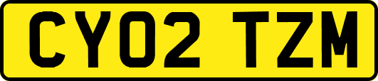 CY02TZM