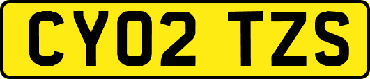 CY02TZS