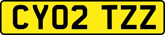 CY02TZZ