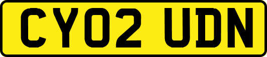 CY02UDN