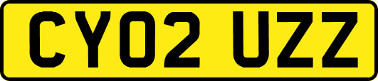 CY02UZZ