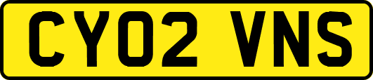 CY02VNS