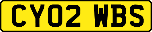 CY02WBS