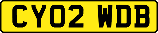 CY02WDB