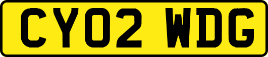 CY02WDG