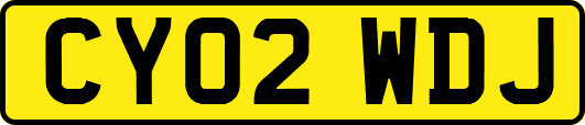 CY02WDJ