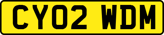 CY02WDM