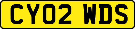 CY02WDS