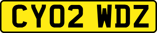 CY02WDZ