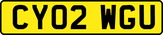 CY02WGU