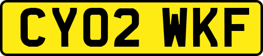 CY02WKF