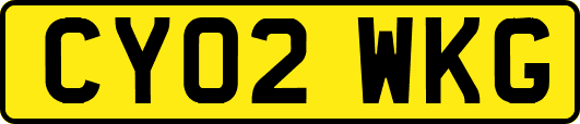 CY02WKG