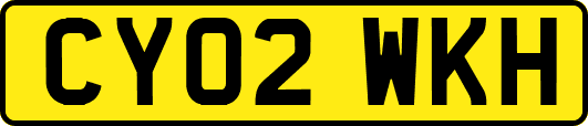 CY02WKH