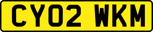 CY02WKM
