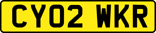 CY02WKR