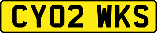 CY02WKS
