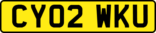 CY02WKU