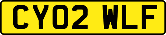 CY02WLF