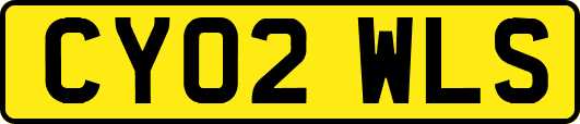 CY02WLS