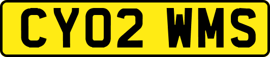 CY02WMS